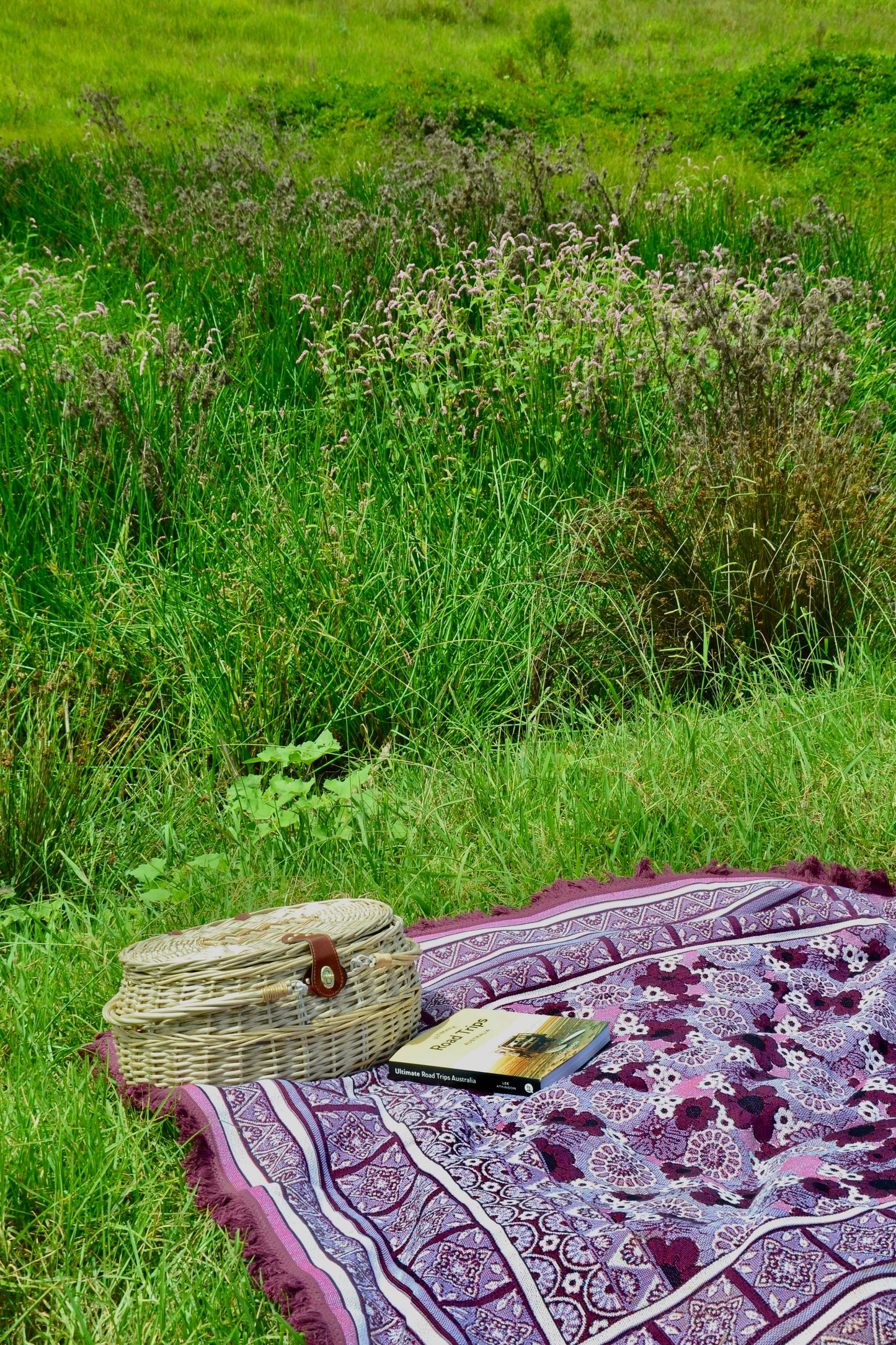 The Violet Rug