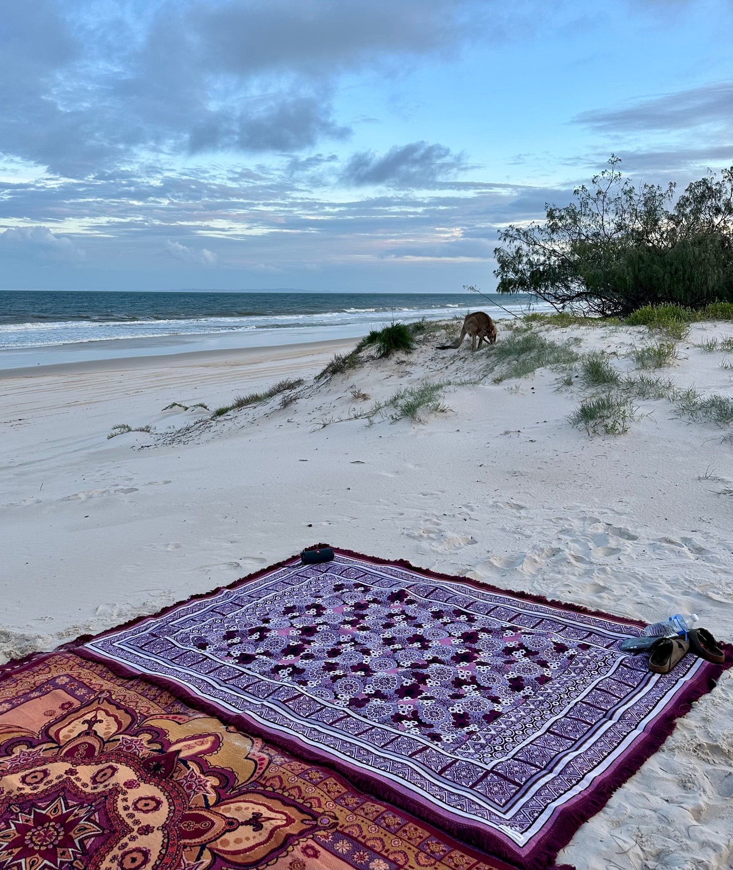 The Violet Rug
